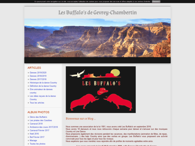 Les Buffalo's de Gevrey-Chambertin