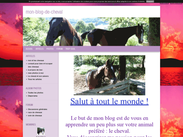 Mon blog de cheval