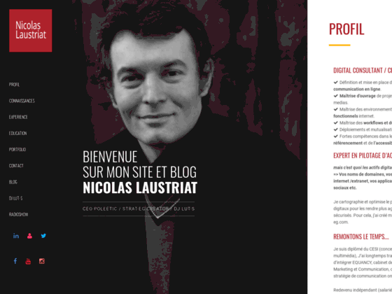 Nicolas.Laustriat.com - consultant m�dia web