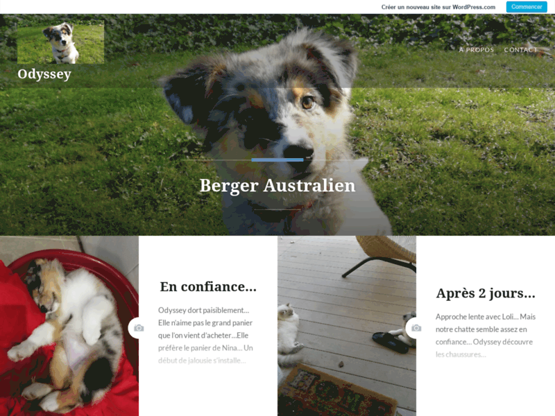 Screenshot du site : Odyssey Berger Australien