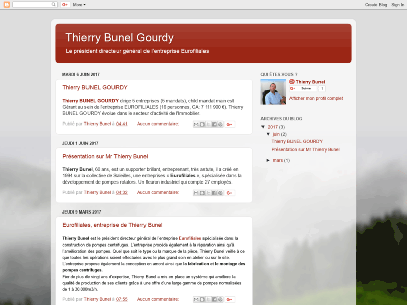 Screenshot du site : Thierry Bunel