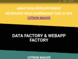 Création de site web à Lyon - AD Web