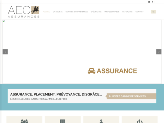 AEC Assurance pour commerce