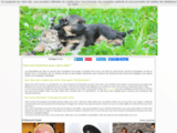 Animalialoisirspro - Grossiste en articles animaliers, chiens et chats