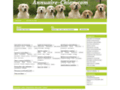 Détails : Référencement canin gratuit sur Annuaire-Chien.com