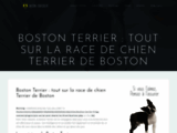 Boston Terrier : Informations sur le Terrier de Boston