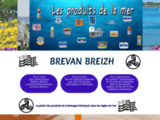 Brevan Breizh, spécialités Bretonne