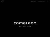 Conception de site web et référencement SEO | Caméléon