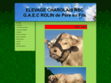 G.A.E.C ROLIN vente de taureaux charolais - Bienvenue sur le site du G.A.E.C ROLIN