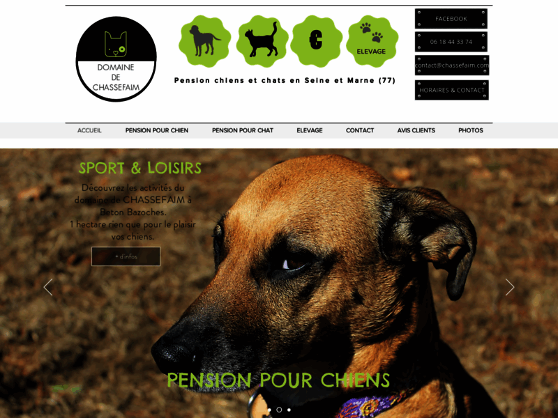 Chassefaim, la pension canine sur Paris Région Île
