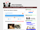 Forum Chats et Chatons