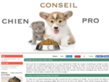 Chien Conseil Pro | Publications de conseils pour chien ou canin