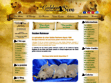 Élevage de Golden Retrievers : le Domaine of Sim