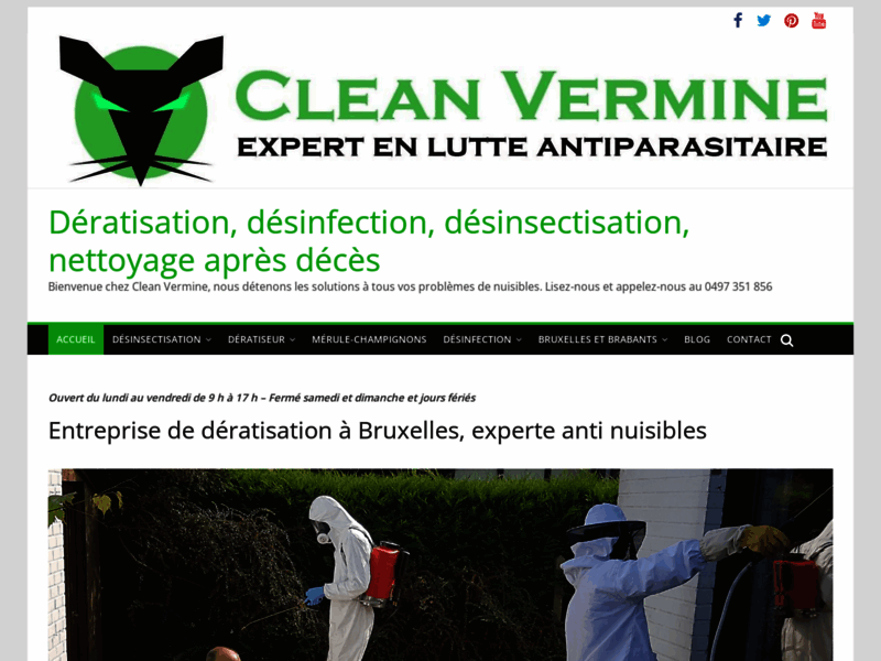 Dératisation et lutte anti insectes-Clean Vermine