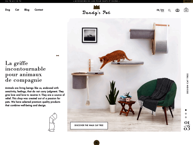 Screenshot du site : Dandyspet, l’e-magasin d’accessoires pour animaux