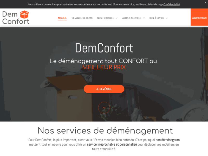 Screenshot du site : Déménagement Ile-de-France - Déménageur Essonne