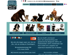 dogcatandco: animalerie de Belgique