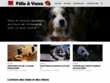 Felixetvasco stickers personnalisables avec votre animal