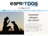 l'academy des chiens, educateur canin paris,IDF | pension canine 91