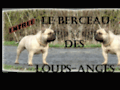 Screenshot de Elevage du Berceau des Loups-Anges par Robothumb.com