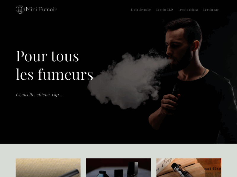 Screenshot du site : Mini-Fumoir : Hotel et palace de luxe