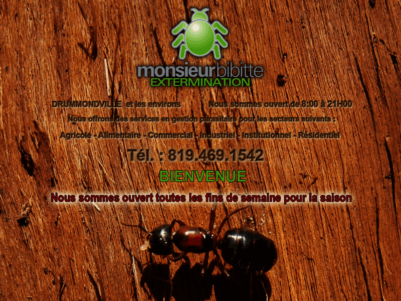 Monsieur bibitte extermination - Exterminateur à  Drummondville: punaises de lit , fourmis, araignée