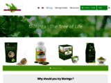 Moringa : tout savoir sur l'arbre de vie