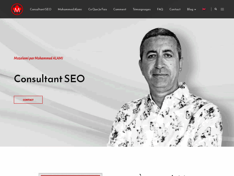 Screenshot du site : spécialiste seo a Montréal