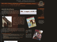 SSAP Paint & Quarter Horses