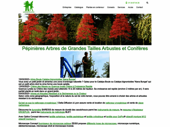 P�pini�res Bazainville - S.E. Espaces Verts Jardins