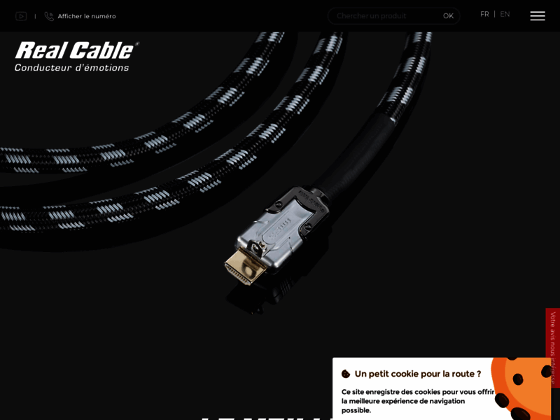 Câble audio-Real Câble