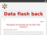 Data Flash Back - Récupération de données à Paris disque SSD, clé usb et Flash
