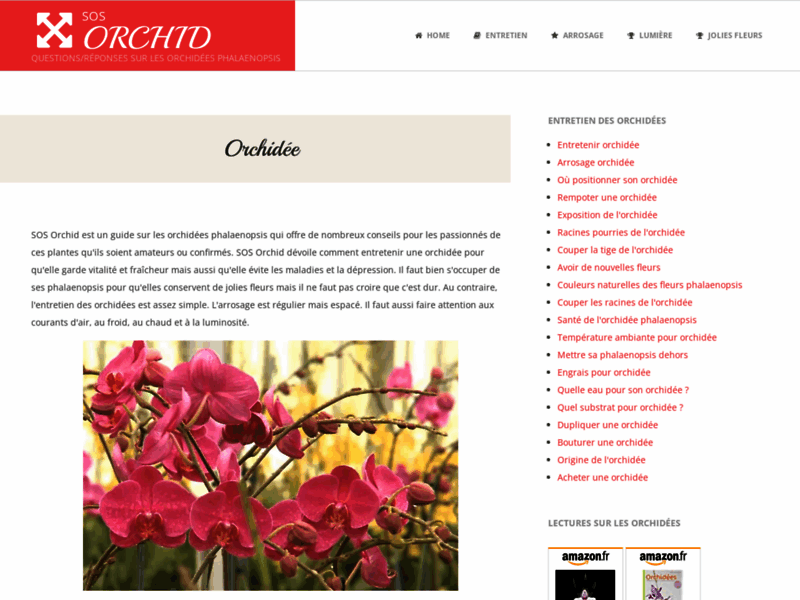 SOS Orchid - Conseils entretien des orchidÃ©es phalaenopsis