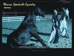 Mearas Spectacle Equestre
