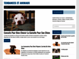 Accessoires chien, chat, tendance et design - Tendances et animaux