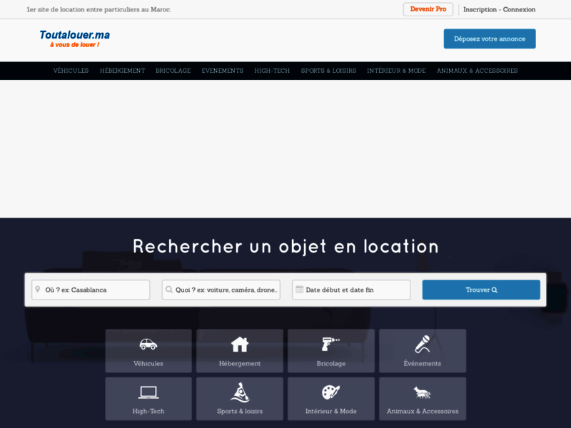 Screenshot du site : toutalouer