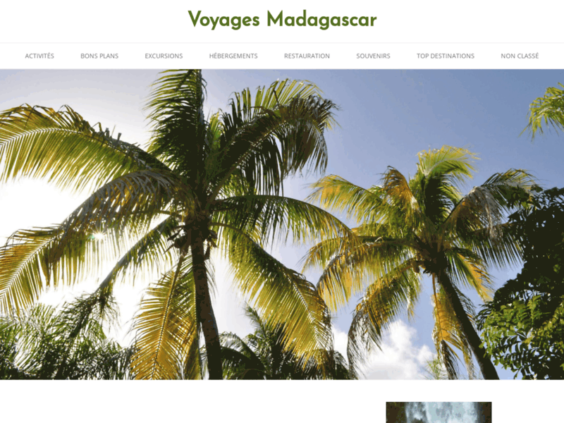 Screenshot du site : tour operateur madagascar