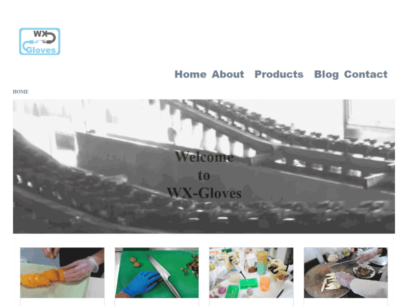 Website's screenshot : disposable gloves