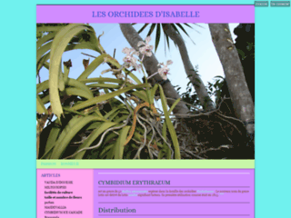 Zaza93 - Les Orchidées d'Isabelle