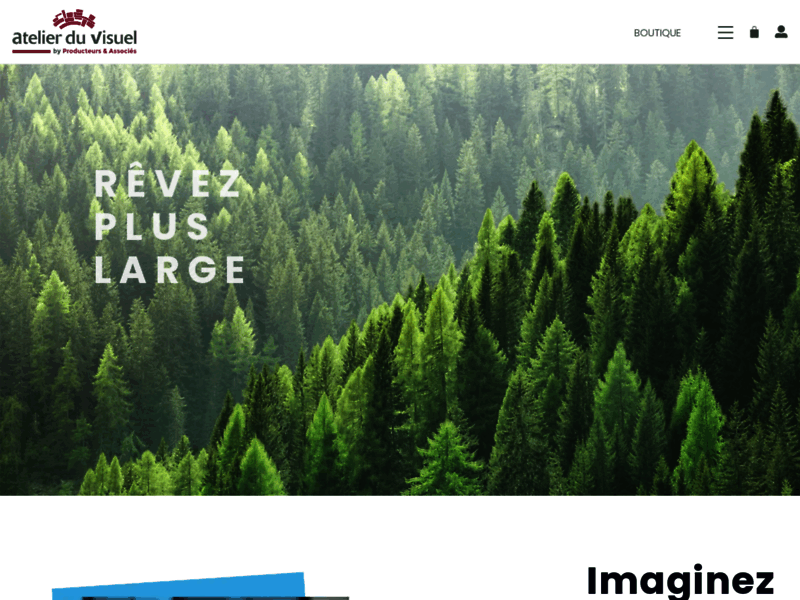 Screenshot du site : Impression numérique grand format