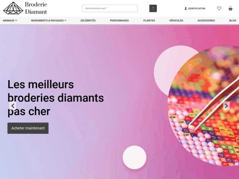 Screenshot du site : Broderie diamant