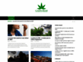 Détails : Les news du cannabis - Cannabis N