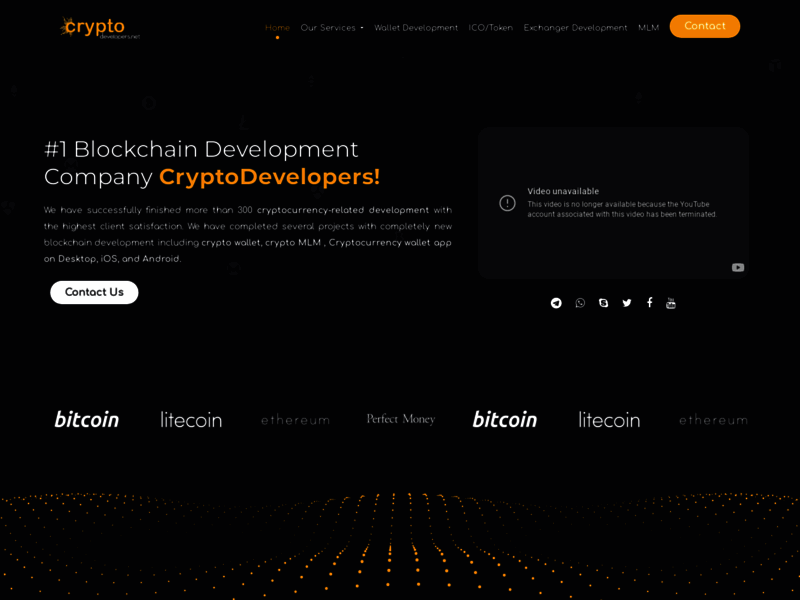 Website's screenshot : Cryptocurrency Development Services