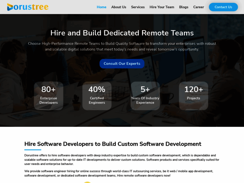 Website's screenshot : Software development company