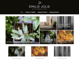 Bon guide de la décoratiob avec Emilie Jolie