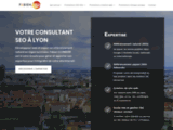 Consultant SEO Lyon: référencement naturel | Fabien SEO