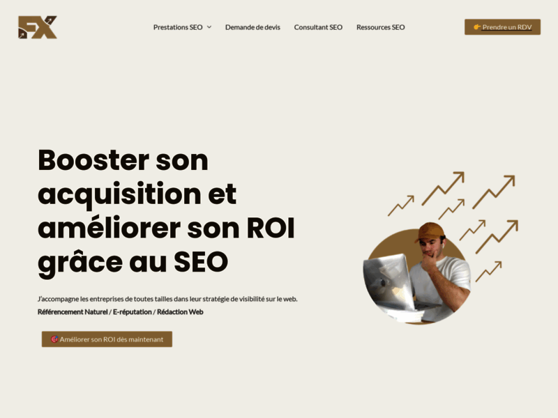 Screenshot du site : François-Xavier Crépin - Consultant SEO Freelance