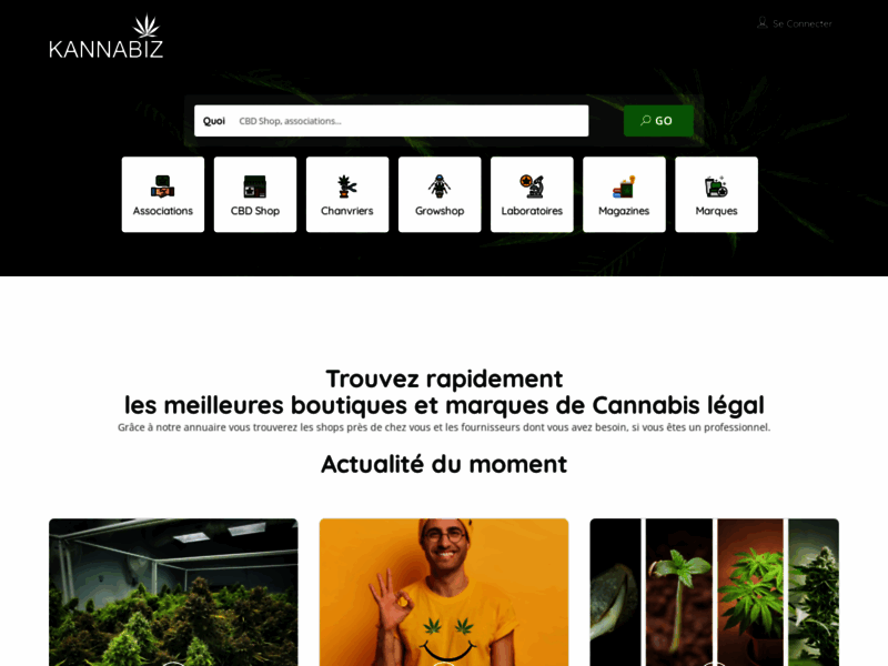 Screenshot du site : Kannabiz (Blog actualité cannabis et CBD)