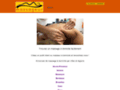 Détails : Massageur.com renseigne  sur le massage et les salons de massage