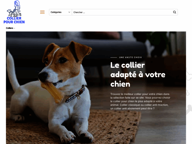 Screenshot du site : meilleur collier de chien Avis